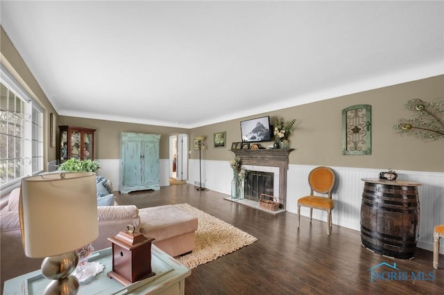 living room with wood finished floors, a glass covered fireplace, and a wainscoted wall