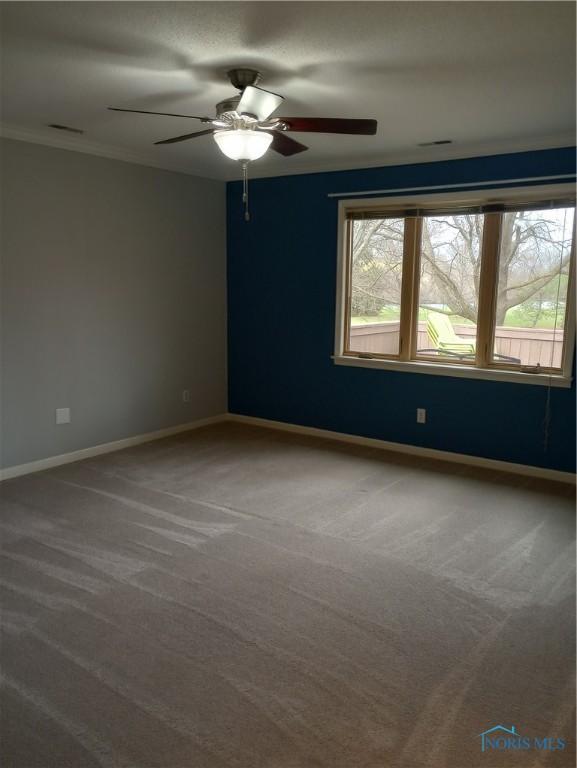 10238 Ford Rd, Perrysburg, OH 43551 - photo 31