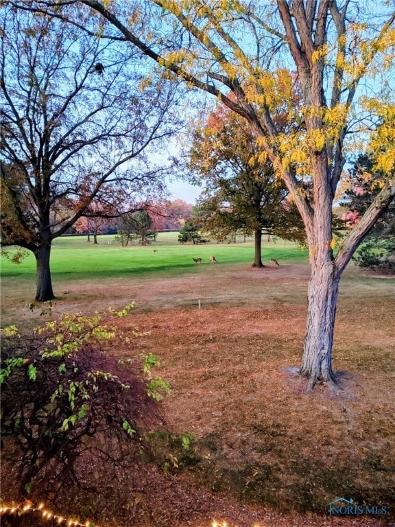 10238 Ford Rd, Perrysburg, OH 43551 - photo 13
