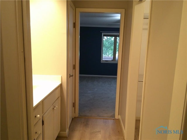 10238 Ford Rd, Perrysburg, OH 43551 - photo 34