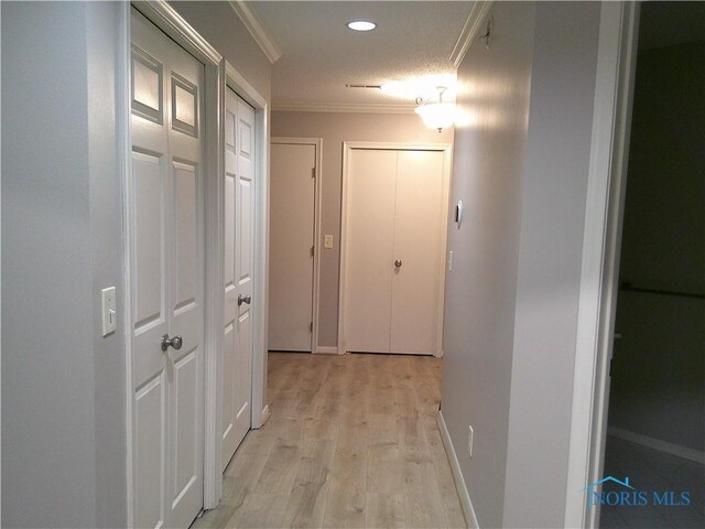 10238 Ford Rd, Perrysburg, OH 43551 - photo 41