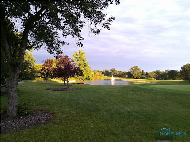 10238 Ford Rd, Perrysburg, OH 43551 - photo 45
