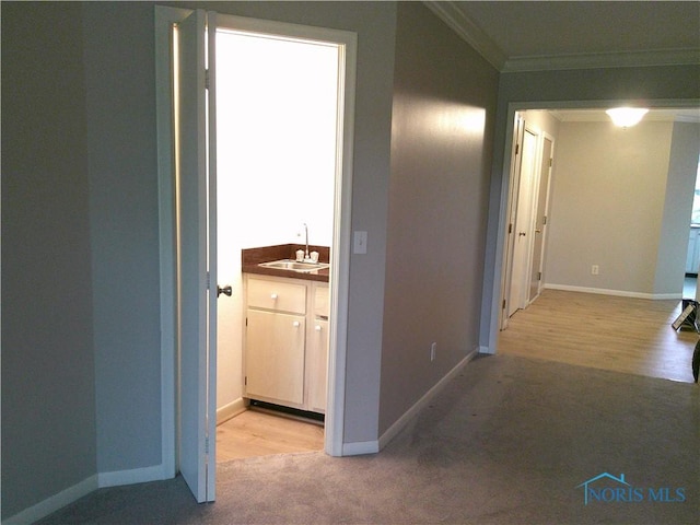 10238 Ford Rd, Perrysburg, OH 43551 - photo 9