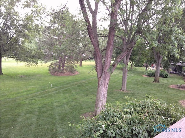 10238 Ford Rd, Perrysburg, OH 43551 - photo 17