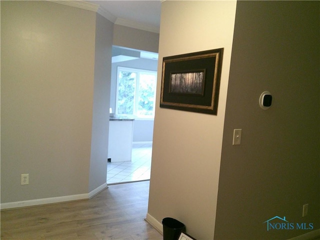 10238 Ford Rd, Perrysburg, OH 43551 - photo 18