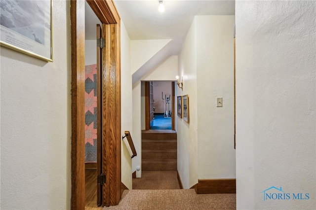 hallway featuring carpet flooring and a textured wall