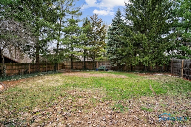 view of yard with a fenced backyard