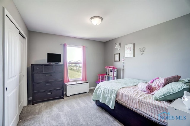 100 Bentley Dr, Perrysburg, OH 43551 - bedroom featuring light carpet and a closet