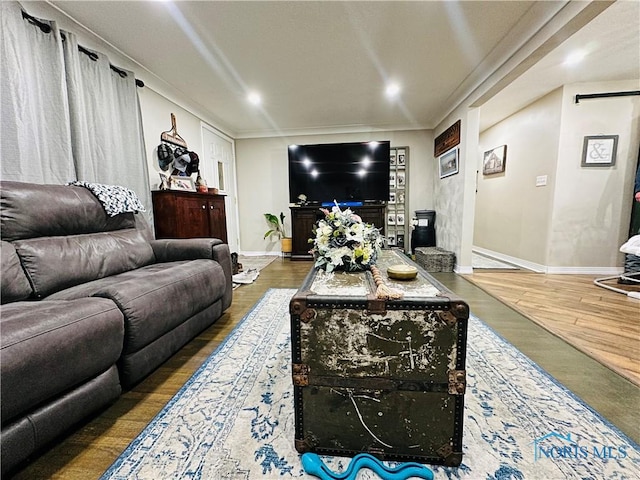 living room featuring baseboards, a barn door, and wood finished floors