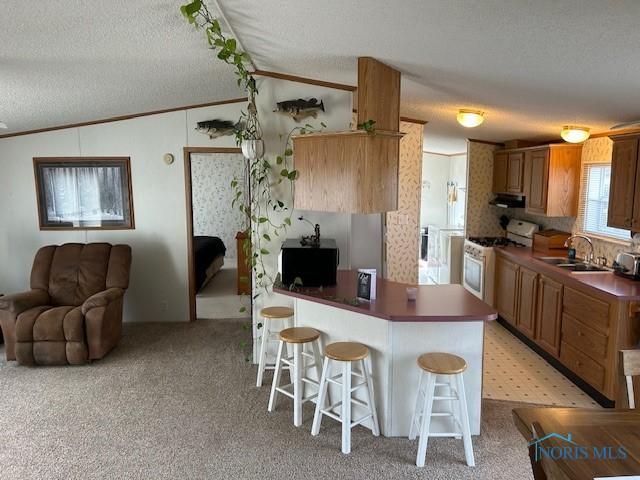 kitchen featuring a peninsula, a kitchen breakfast bar, dark countertops, vaulted ceiling, and white gas range oven