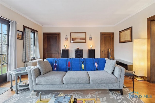living room featuring radiator heating unit, light wood finished floors, and ornamental molding