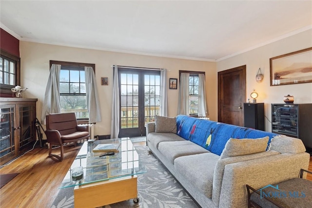 living area featuring crown molding and wood finished floors