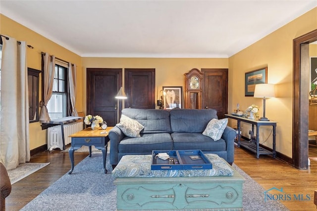 living area featuring baseboards, radiator, and wood finished floors