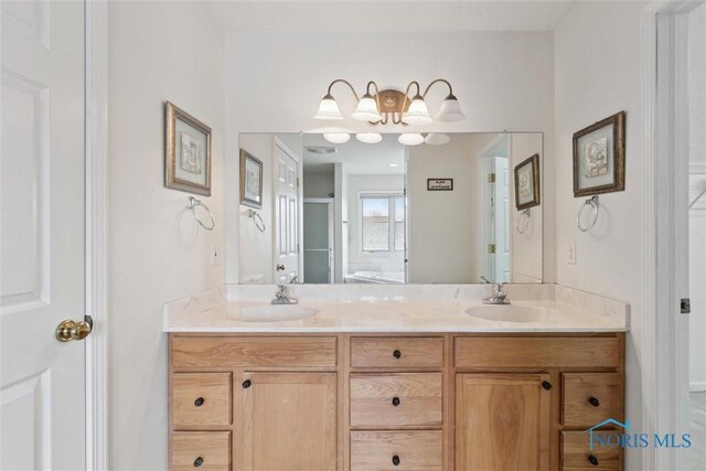 2016 Austin Bluffs Ct, Toledo, OH 43615 - bathroom featuring a sink, double vanity, and a shower with shower door