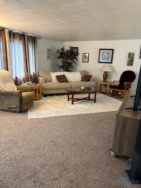 511 Haig St, Defiance, OH 43512 - photo 3