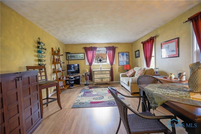 living room featuring wood finished floors