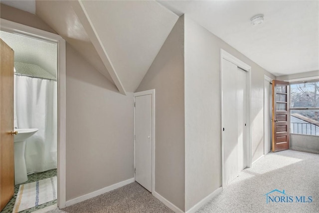 additional living space with baseboards, lofted ceiling, and carpet