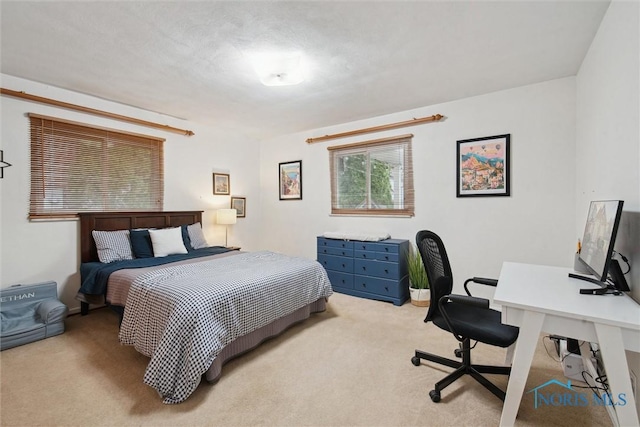 bedroom with carpet flooring