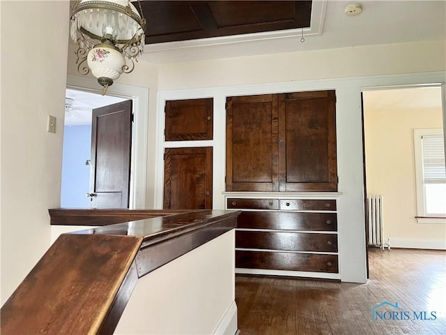 interior space with radiator heating unit, dark countertops, dark wood-style floors, and dark brown cabinets