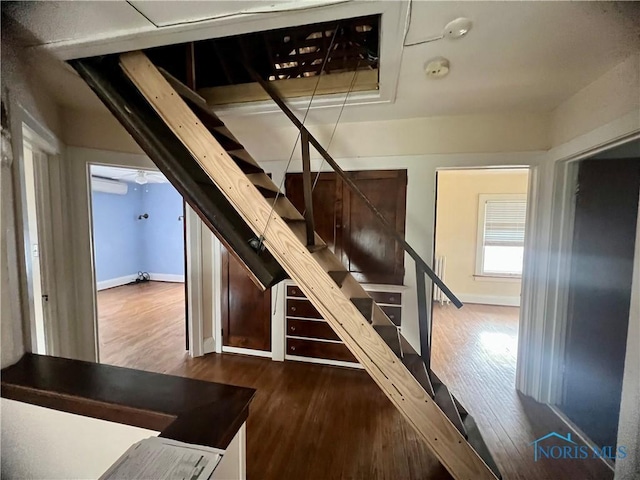 stairway with baseboards and wood finished floors