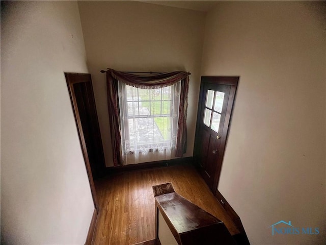 doorway with wood finished floors
