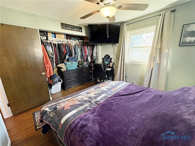 bedroom featuring wood finished floors, a closet, and a ceiling fan