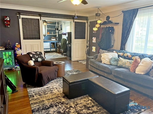 living area featuring ceiling fan, a barn door, and wood finished floors