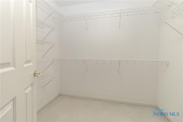 view of walk in closet