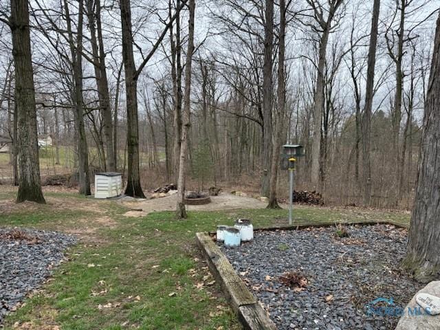 615 Manito Trl, Montpelier, OH 43543 - photo 5