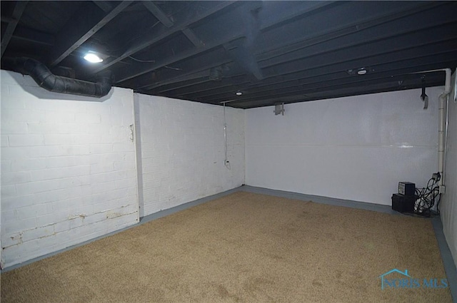 finished basement featuring carpet floors