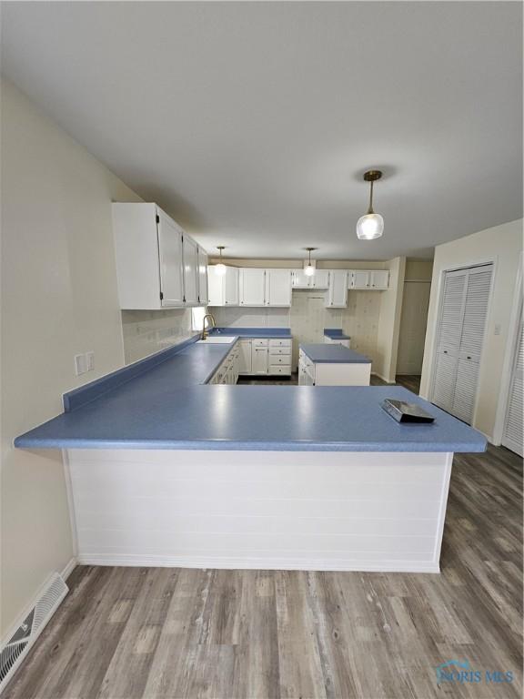 10308 Dowling Rd, Perrysburg, OH 43551 - kitchen featuring a sink, a peninsula, wood finished floors, white cabinets, and baseboards