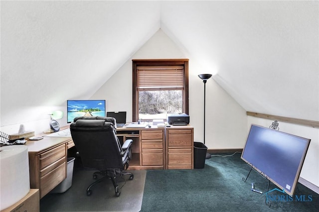 2525 N King Rd, Toledo, OH 43615 - office featuring lofted ceiling and dark carpet