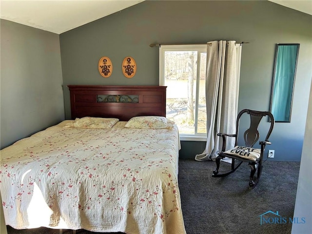 294 Seneca Dr, Montpelier, OH 43543 - photo 28