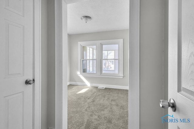 3846 Burton Ave, Toledo, OH 43612 - photo 18