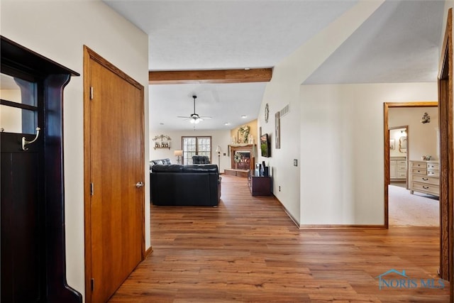 6681 Bellflower Ct, Curtice, OH 43412 - hall with beamed ceiling, wood finished floors, and baseboards