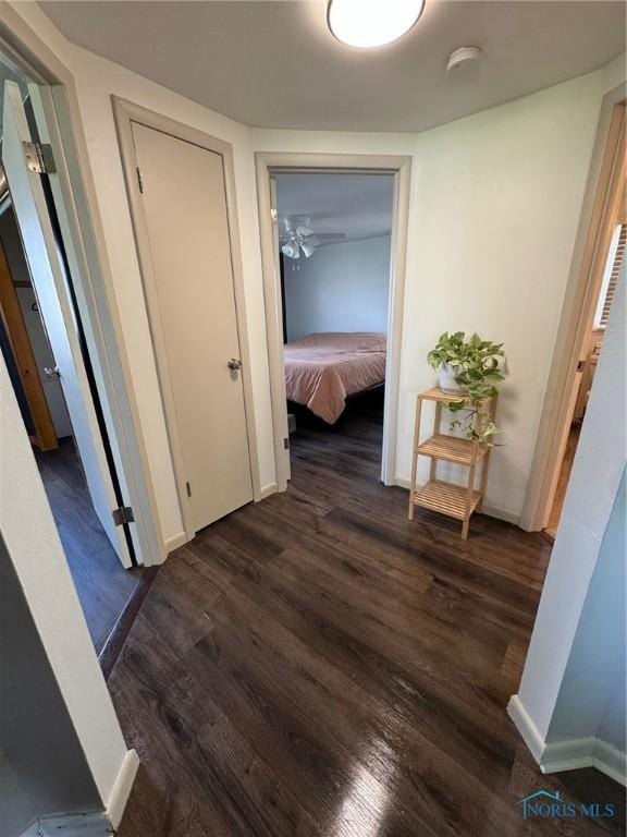 hallway featuring baseboards and dark wood-type flooring