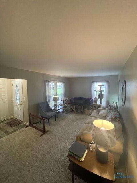 living area featuring plenty of natural light and carpet