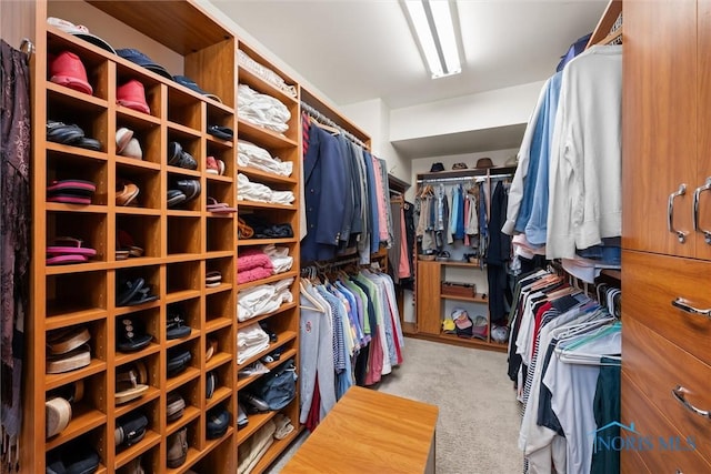 1 S Saint Clair St, Toledo, OH 43604 - walk in closet featuring carpet