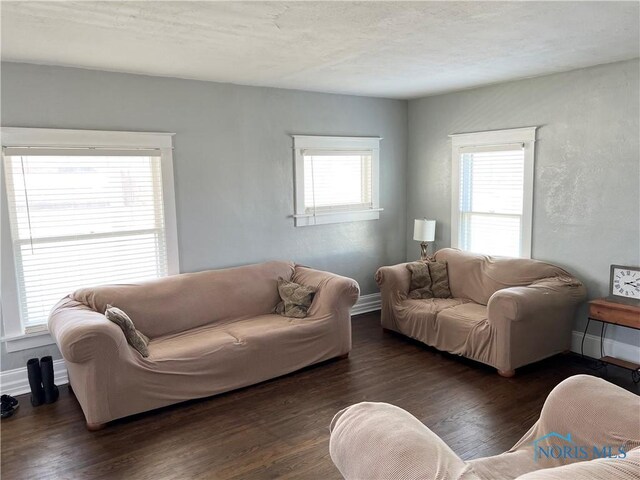 16 College Pl, Defiance, OH 43512 - living room with a wealth of natural light, wood finished floors, and baseboards