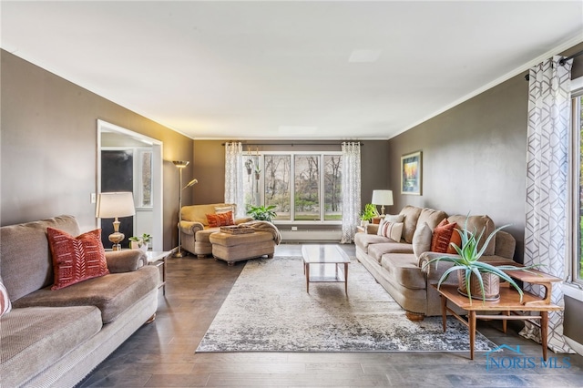 living room featuring ornamental molding and wood finished floors