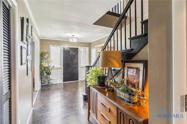 foyer entrance featuring ornamental molding, dark wood-style flooring, baseboards, stairway, and a notable chandelier