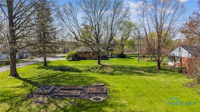 view of yard featuring a garden