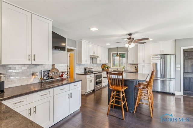 kitchen with a ceiling fan, white cabinetry, under cabinet range hood, and stainless steel appliances