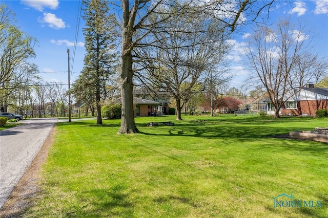 view of yard