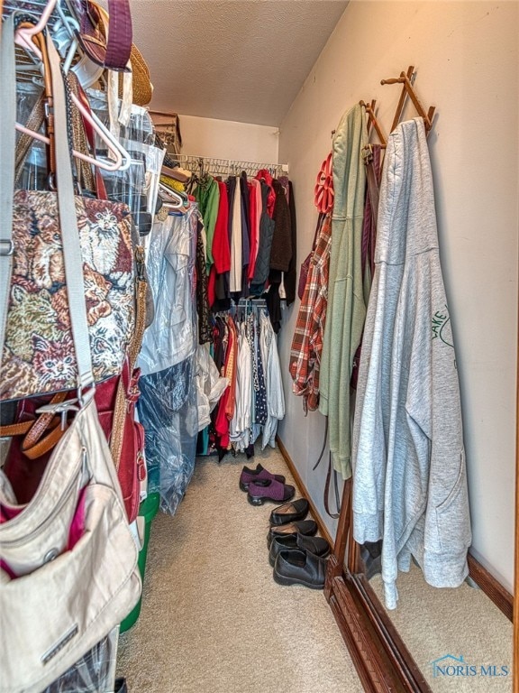 walk in closet featuring carpet floors