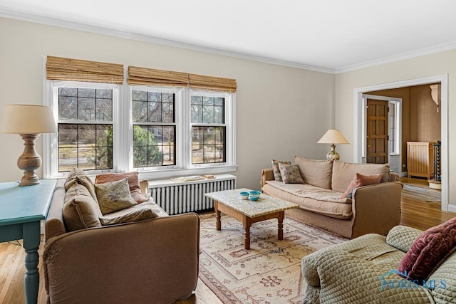 living area with crown molding, radiator, and wood finished floors
