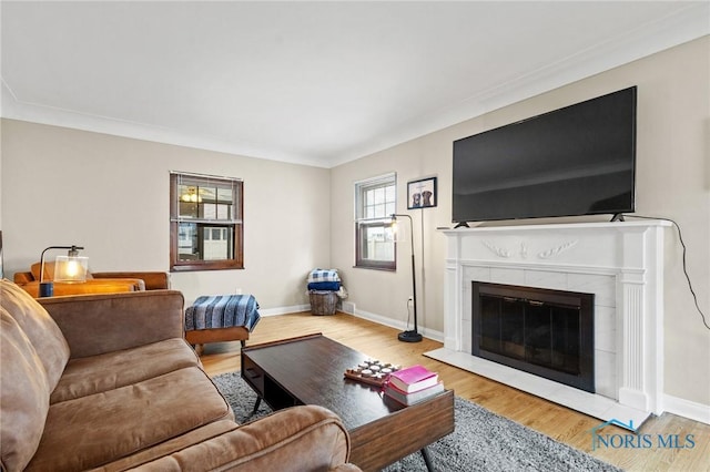 living room with wood finished floors, a fireplace, and baseboards