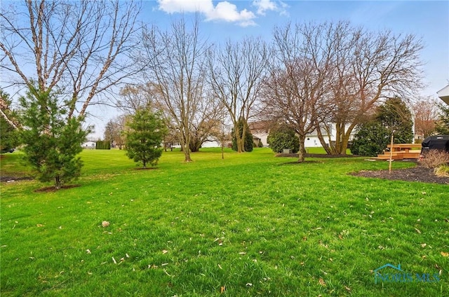 view of yard