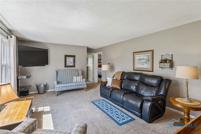 242 E Yates Ave, Findlay, OH 45840 - living room with carpet, a textured ceiling, and baseboards