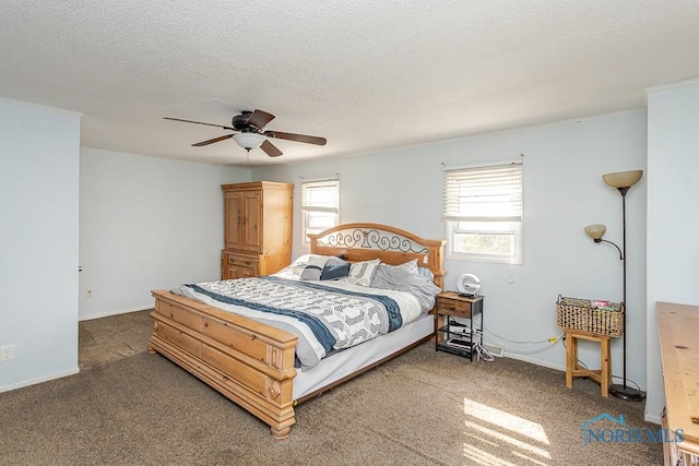 3715 Watson Ave, Toledo, OH 43612 - bedroom with ceiling fan, carpet floors, multiple windows, and a textured ceiling